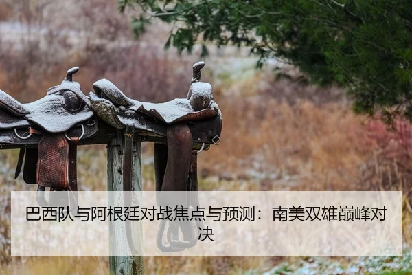 巴西队与阿根廷对战焦点与预测：南美双雄巅峰对决